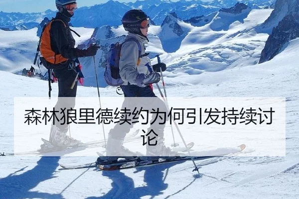 森林狼里德续约为何引发持续讨论